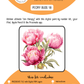 BEE CREATIVE Digital Paint by Number Kit {for Procreate} - PEONY BUD 18