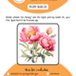 BEE CREATIVE Digital Paint by Number Kit {for Procreate} - PEONY BUD 03