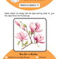 BEE CREATIVE Digital Paint by Number Kit {for Procreate} - MAGNOLIA BRANCH 17