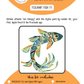 BEE CREATIVE Digital Paint by Number Kit {for Procreate} - FOLK ART FISH 11
