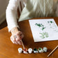 Cate Paper Co - RED, WHITE, & BLOOM Paint-By-Numbers PBN kit